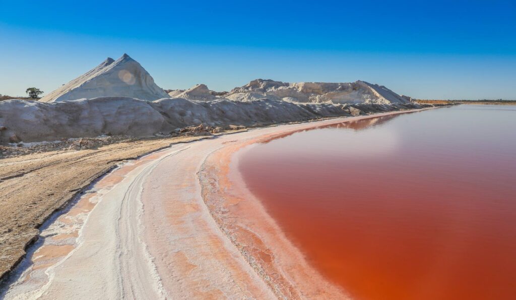 Murray River Salt Web Design