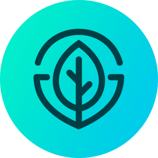 Build Digital Growth Web Design & SEO Agency